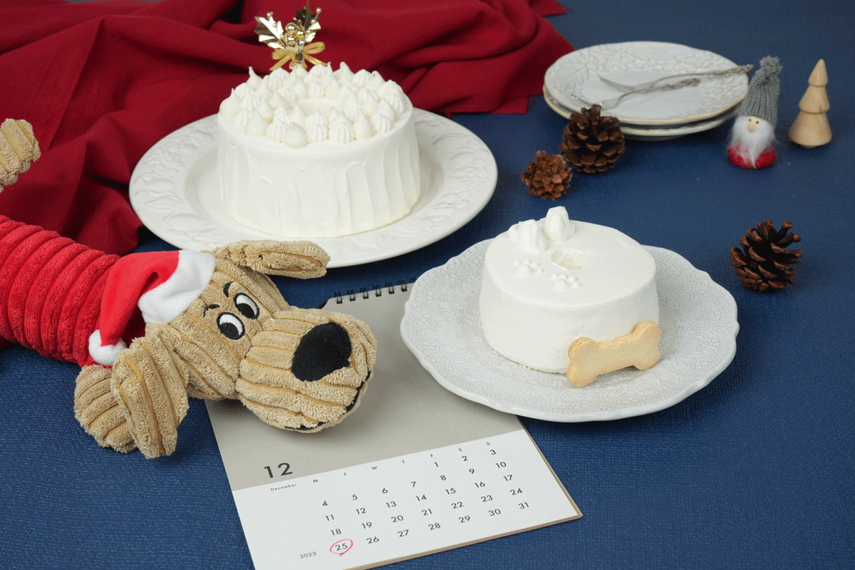 CHIFFON for DOG 【CHRISTMAS】