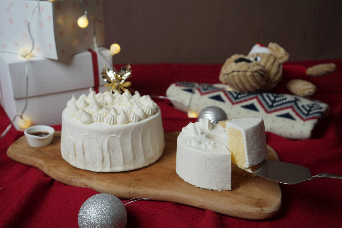 人間用クリスマスケーキと犬用シフォンケーキ