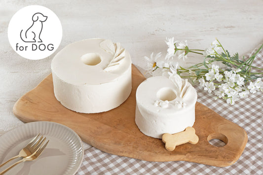 手作りシフォンケーキ専門店「ファミリー」小麦・乳不使用!犬用ケーキ「シロ」と、人間用の真っ白シフォンケーキ「エンゼル」のセット。