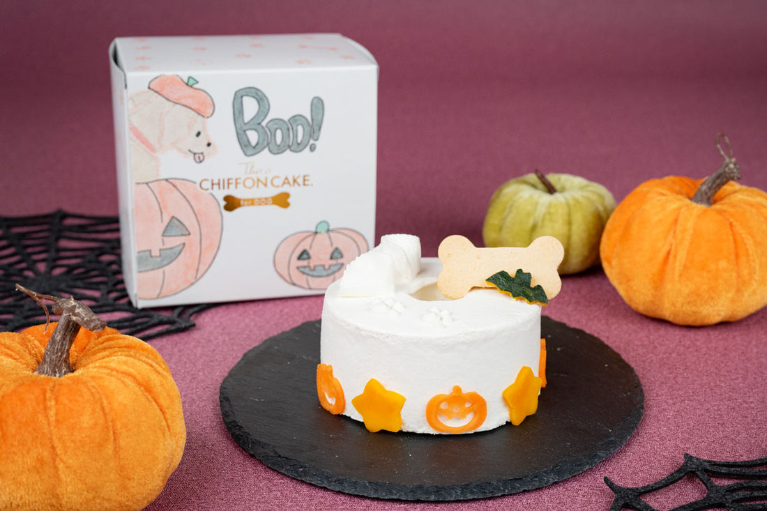 犬用シフォンケーキのハロウィンアレンジ紹介