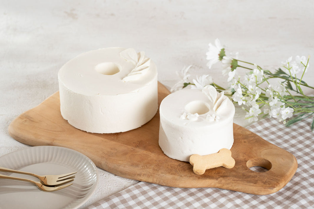 犬用シフォンケーキブランド「This is CHIFFON CAKE. for DOG」